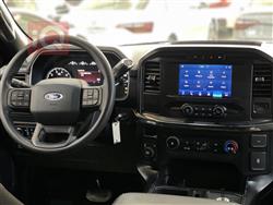 فۆرد F-150